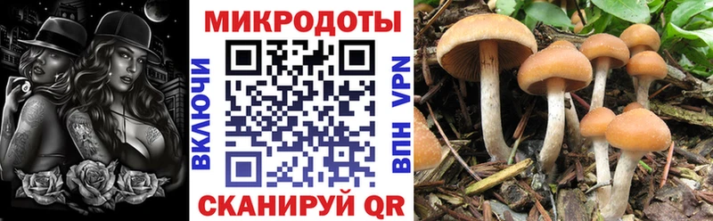 hydra вход Агидель Галлюциногенные грибы Magic Shrooms цена наркотик